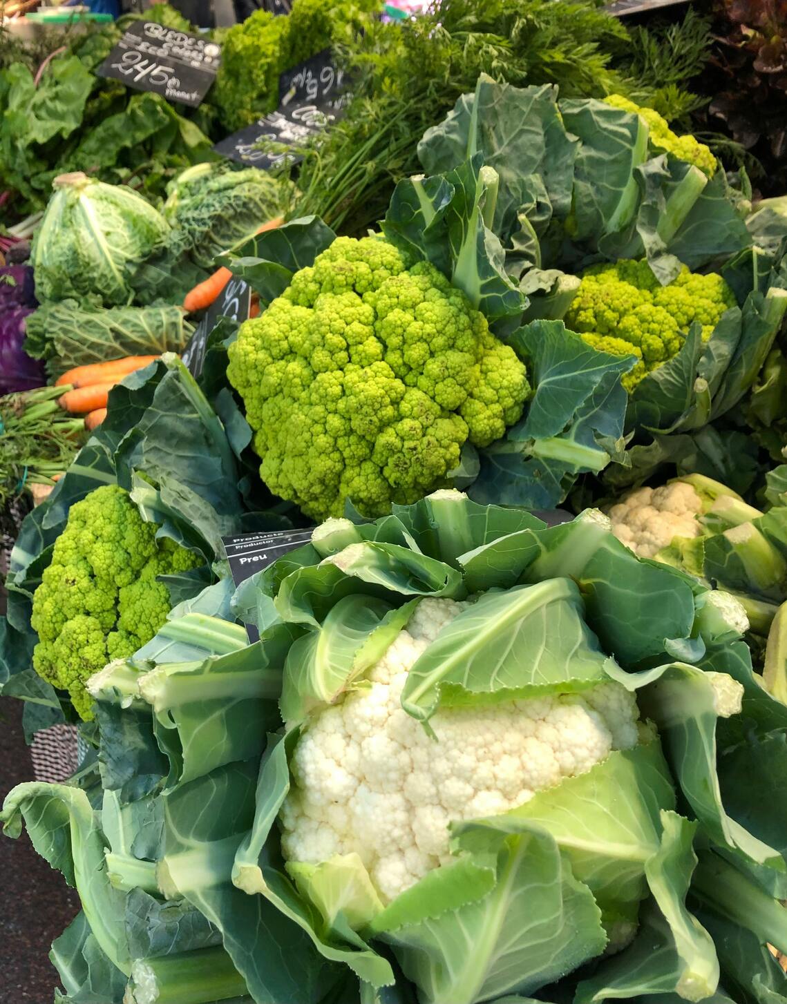 A selection of cruciferous vegetables, including cauliflower, broccoli, and cabbage