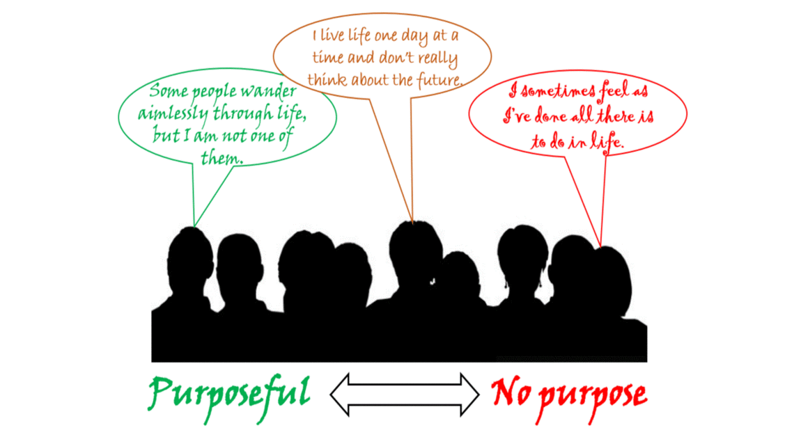 purpose n life