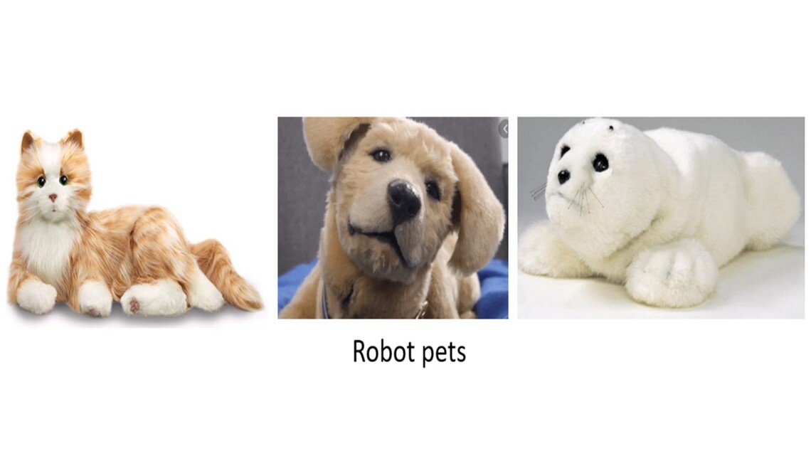 Robot Pet